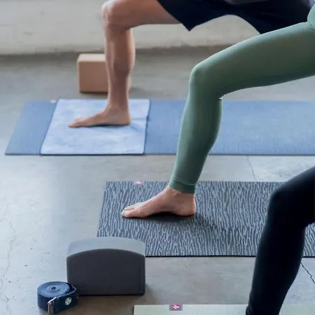 Vila Dona Cu Piscina