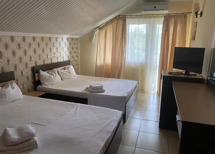 Vila Dona Cu Piscina Guest house Eforie Nord