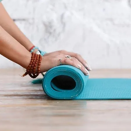 Vila Dona Cu Piscina 招待所 3*