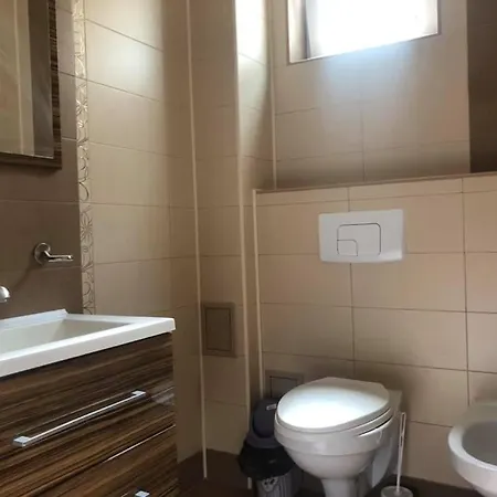 Vila Dona Cu Piscina 招待所