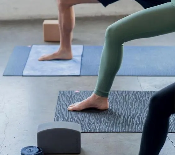 Vila Dona Cu Piscina